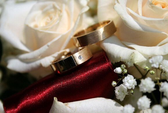 ��Ylogo�O(sh��)Ӌ(j��)����