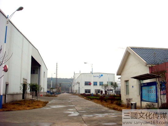 ��˾�S��-���ޏV��