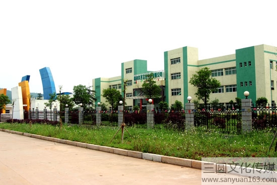 ���S���T