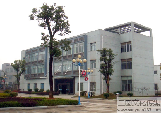 �����k����Ч���D-���ޏV��