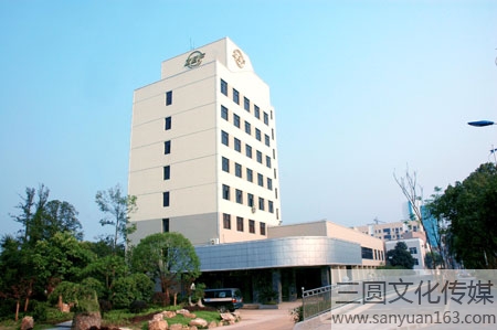 ���������S�ЏS�Ŀ������