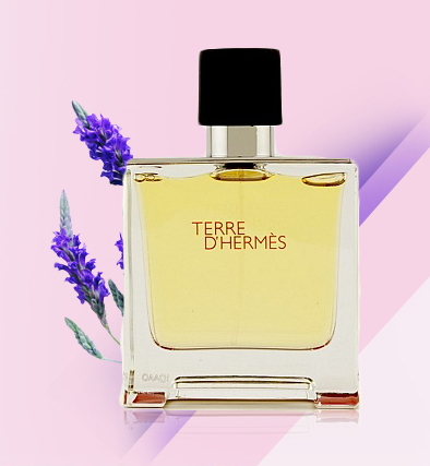 ���yƷ���b���O(sh��)Ӌ(j��)���p